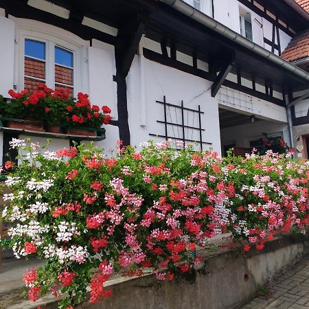Gite Rue De L'Ange Hunspach Ngoại thất bức ảnh