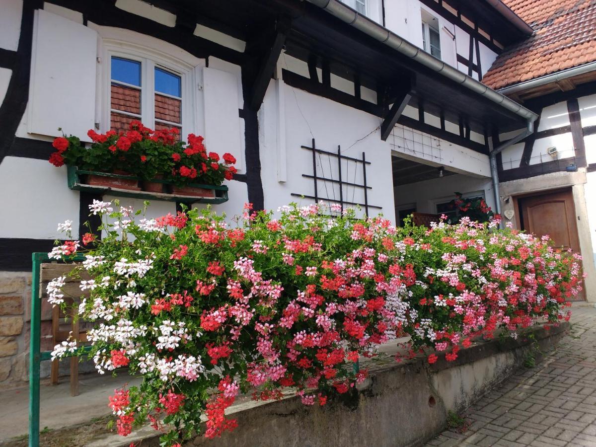 Gite Rue De L'Ange Hunspach Ngoại thất bức ảnh